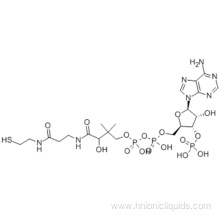 Coenzyme A CAS 85-61-0